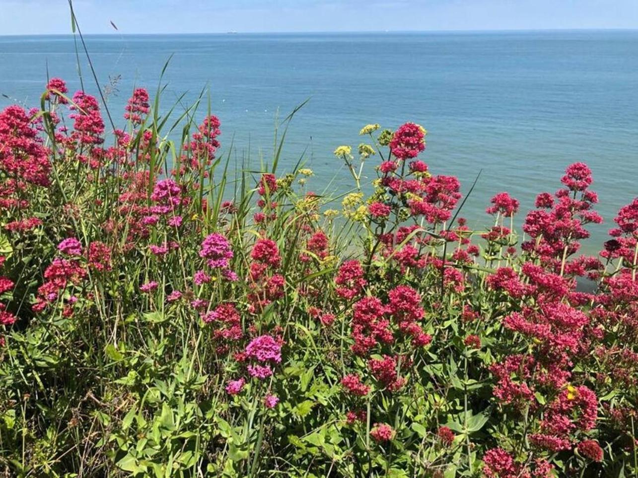 Ground Floor Garden Apartment Walpole Bay Margate Exterior photo
